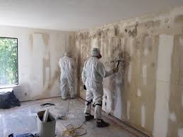 Why You Should Choose Our Mold Remediation Services in Mooresville, NC